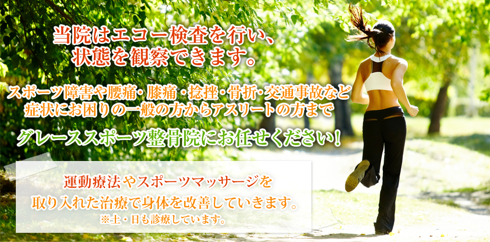 トップページ